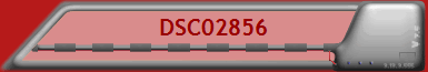 DSC02856