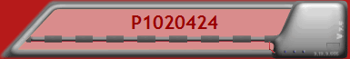 P1020424